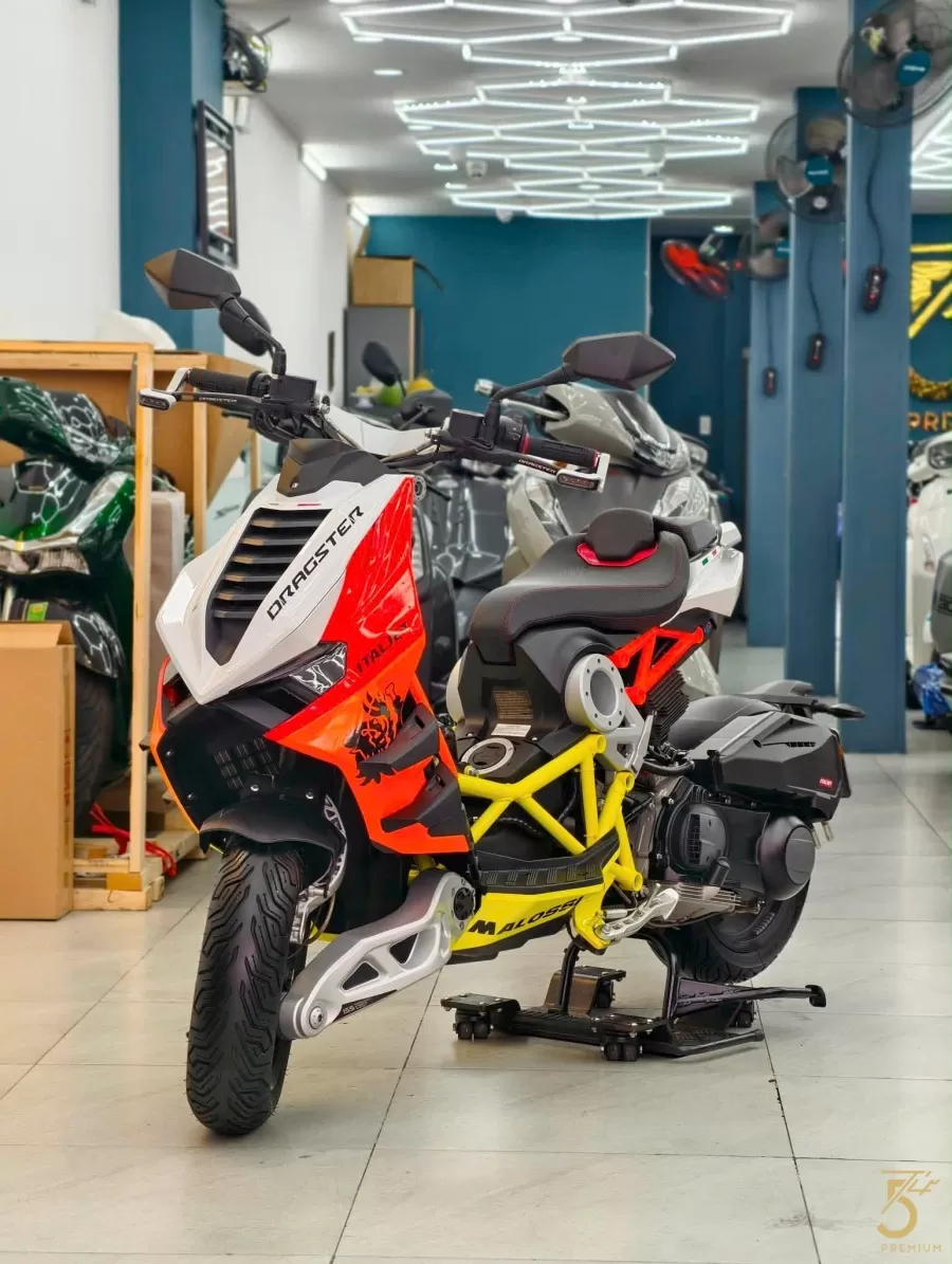 Dragster Mallossi300 2025